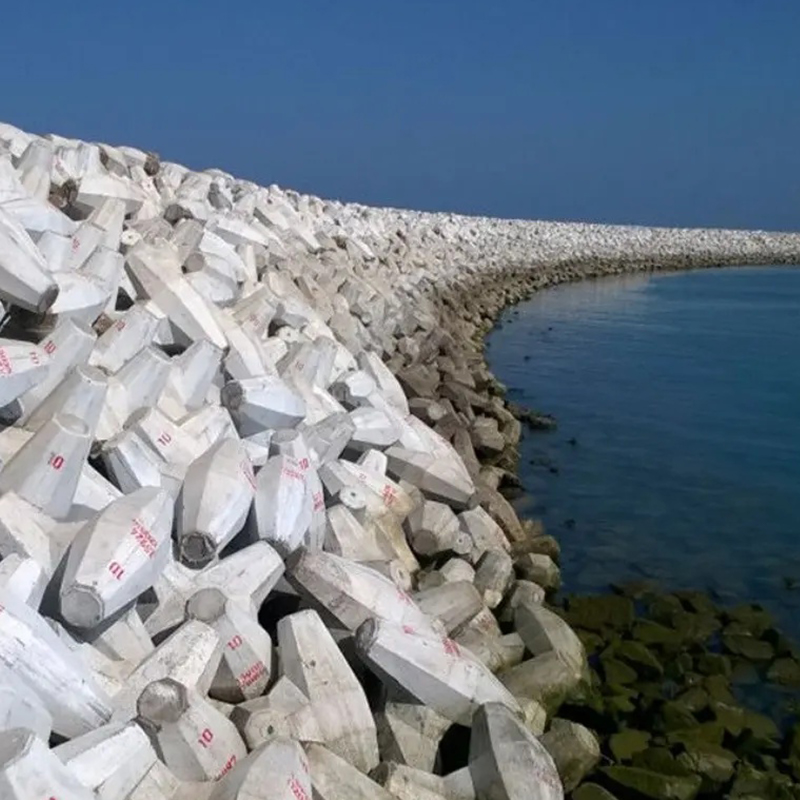 Coffrage/Moule Dolos